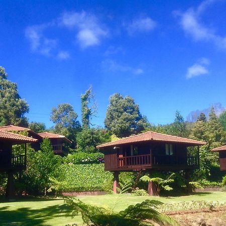 Quinta Das Eiras Santo Antonio da Serra Exteriér fotografie