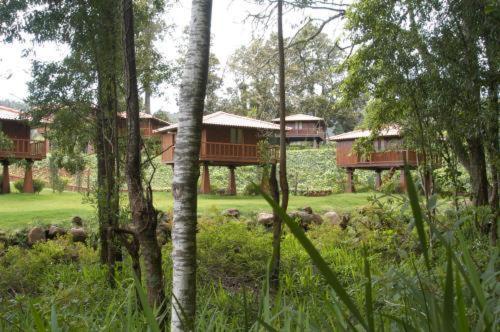 Quinta Das Eiras Santo Antonio da Serra Exteriér fotografie