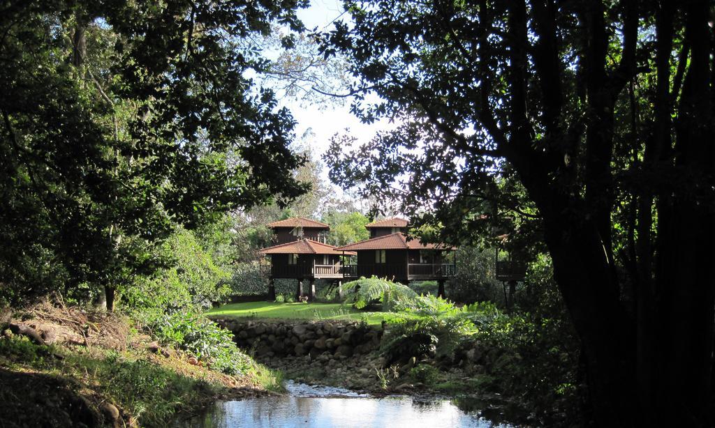 Quinta Das Eiras Santo Antonio da Serra Exteriér fotografie