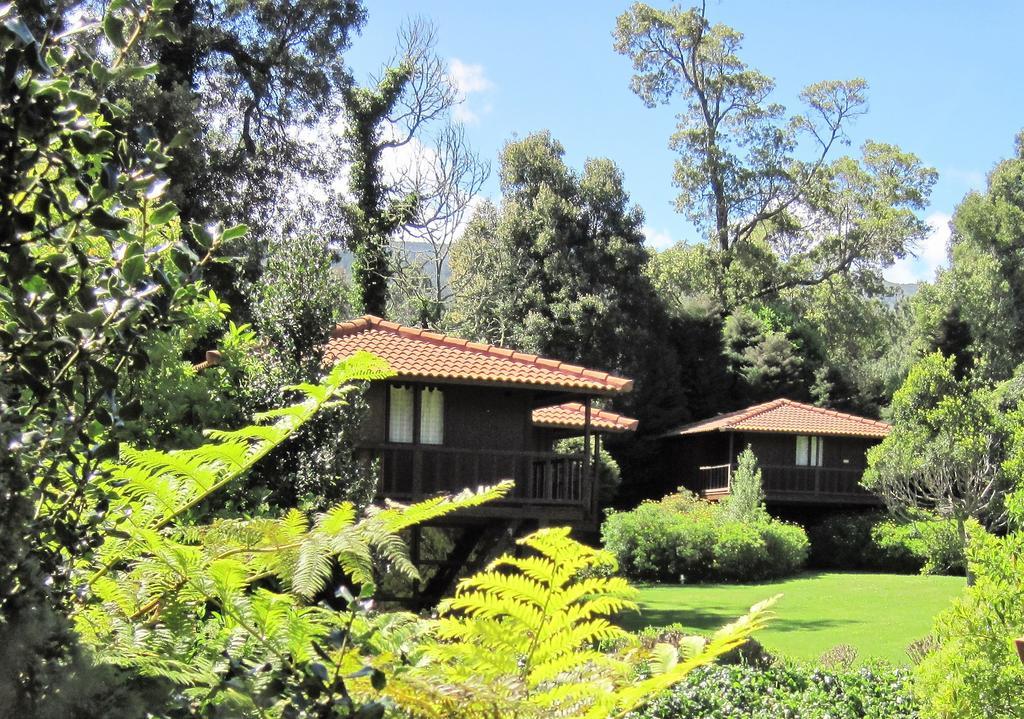 Quinta Das Eiras Santo Antonio da Serra Exteriér fotografie