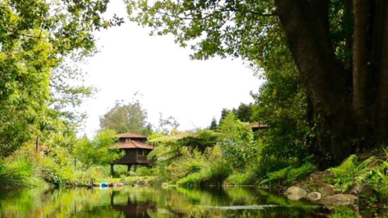 Quinta Das Eiras Santo Antonio da Serra Exteriér fotografie