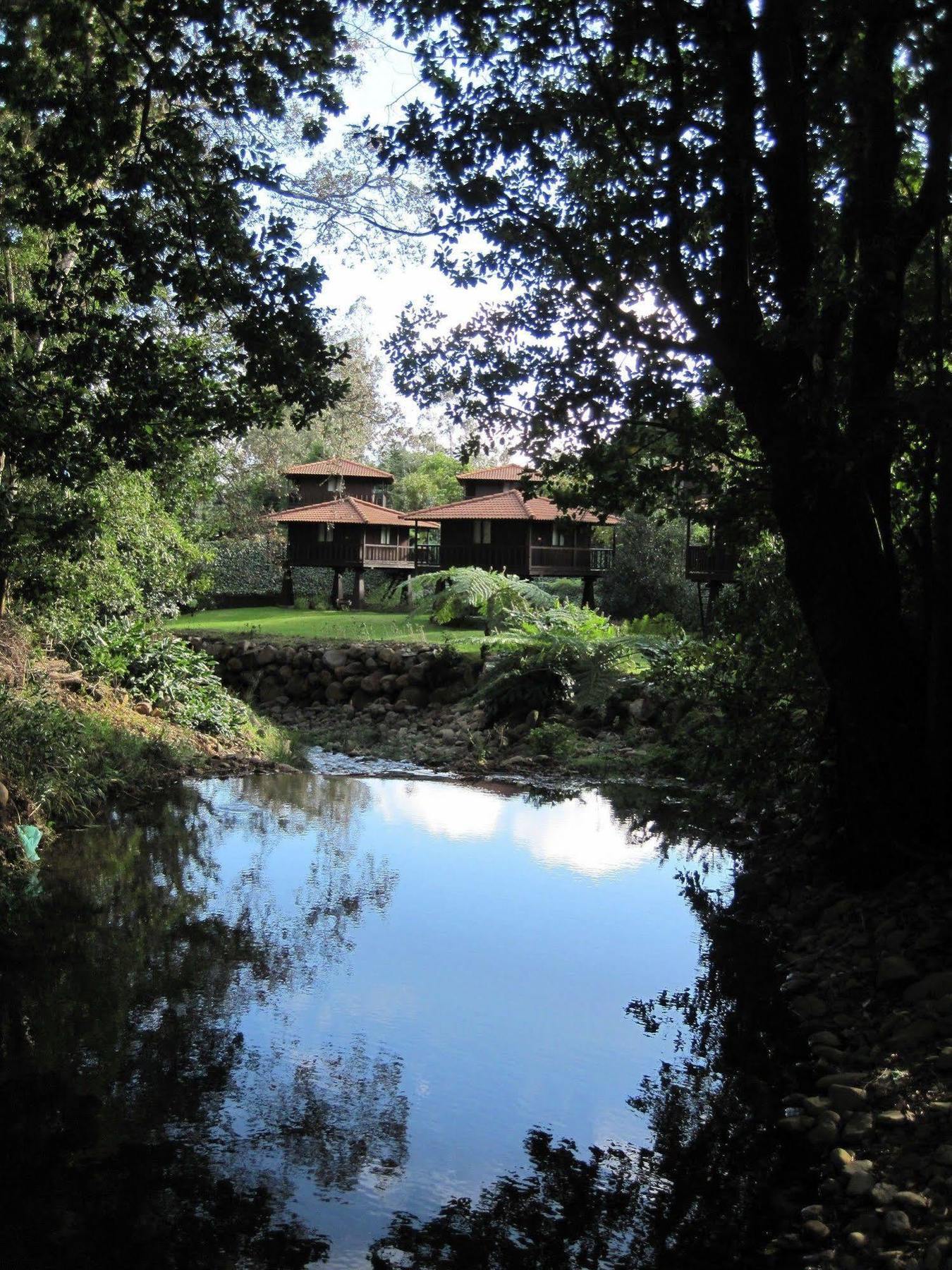 Quinta Das Eiras Santo Antonio da Serra Exteriér fotografie