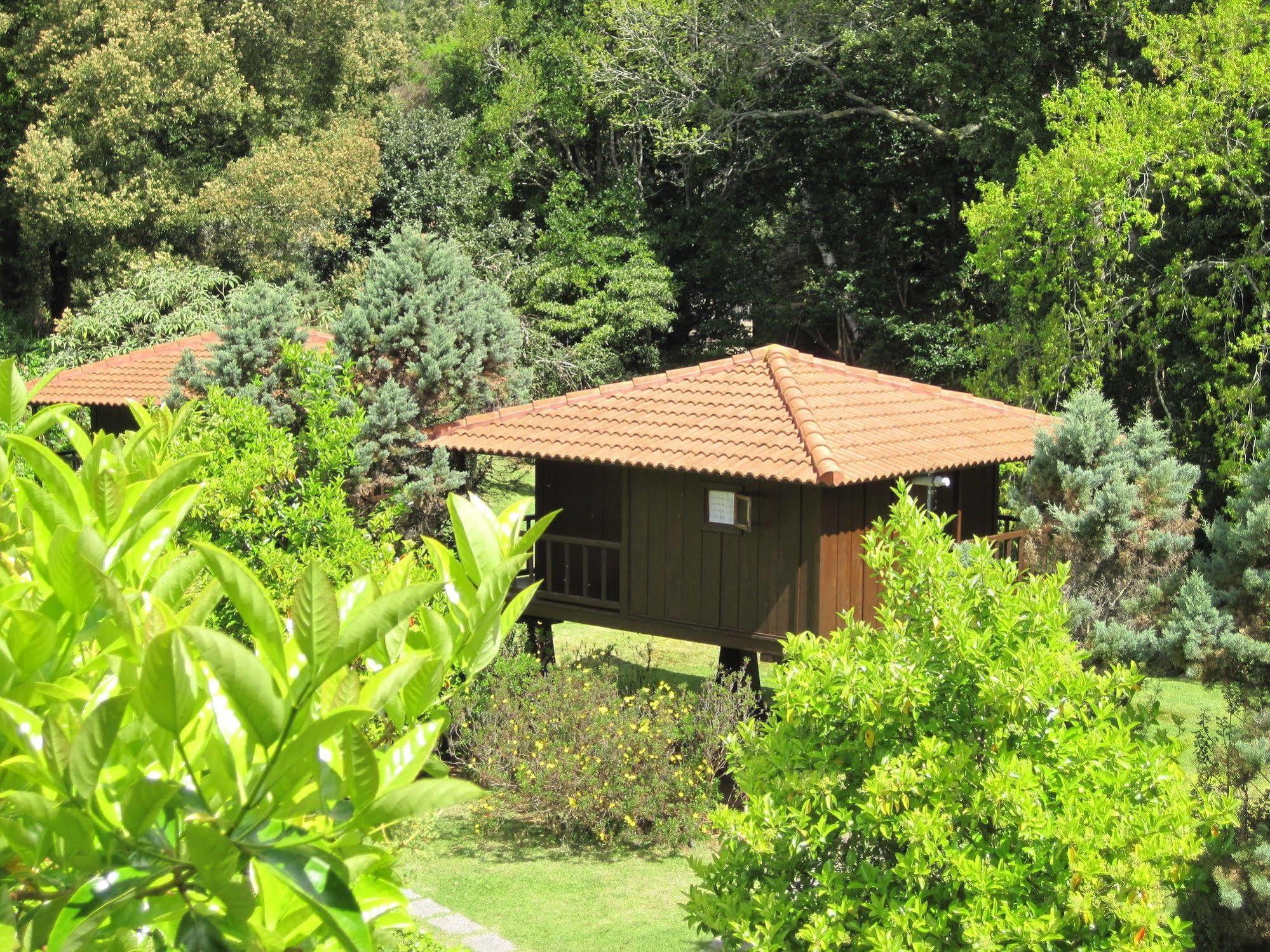 Quinta Das Eiras Santo Antonio da Serra Exteriér fotografie