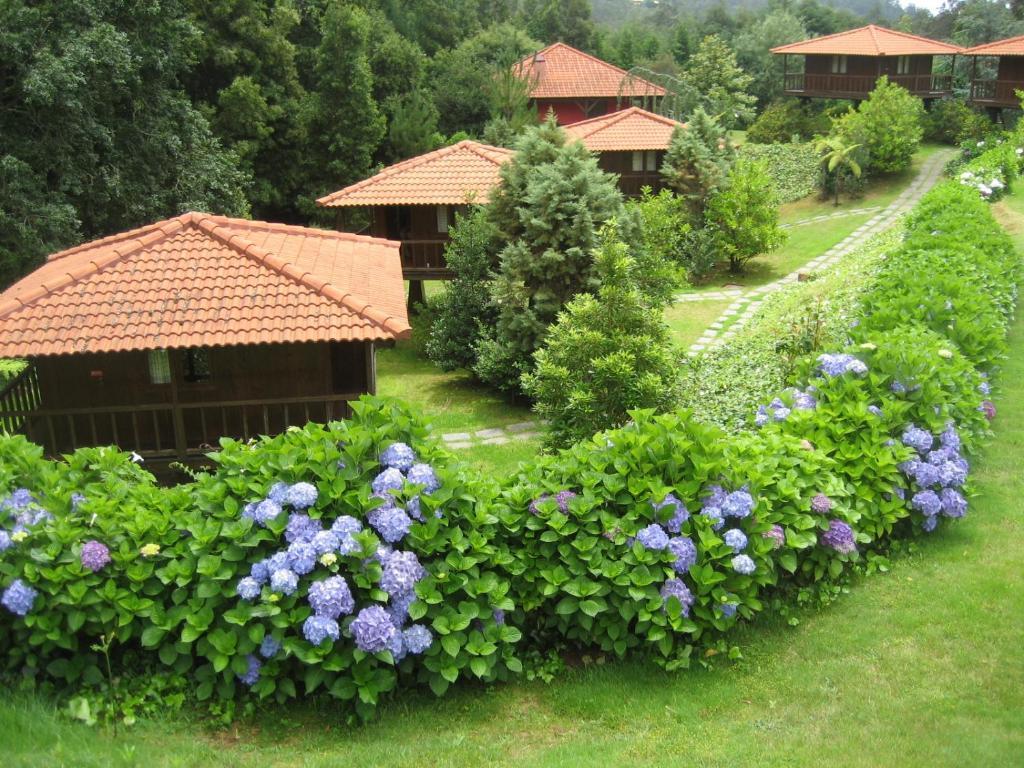 Quinta Das Eiras Santo Antonio da Serra Exteriér fotografie